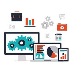 Stripling IT Software Development Stripling IT Software Development