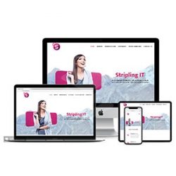 Stripling IT Web Design (1) Stripling IT Web Design (1)